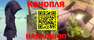 хмурый Малгобек