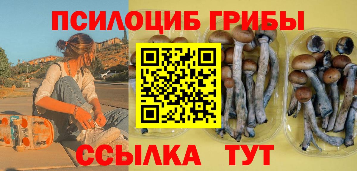 Галлюциногенные грибы Psilocybine cubensis Советская Гавань