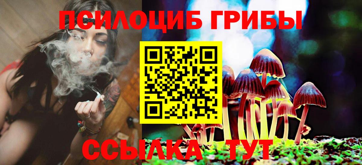 Советская Гавань  Псилоцибиновые грибы Magic Shrooms  Галлюциногенные грибы Psilocybine cubensis  купить закладку  Вход с VPN 